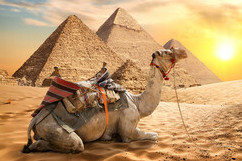 Circuits individuels en Egypte